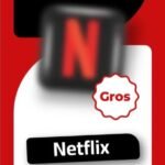 Netflix gros 3 mois (5 écran)
